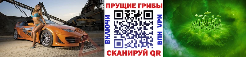 Псилоцибиновые грибы мицелий  Купить закладки  Бирюч 